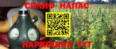 spice Обь