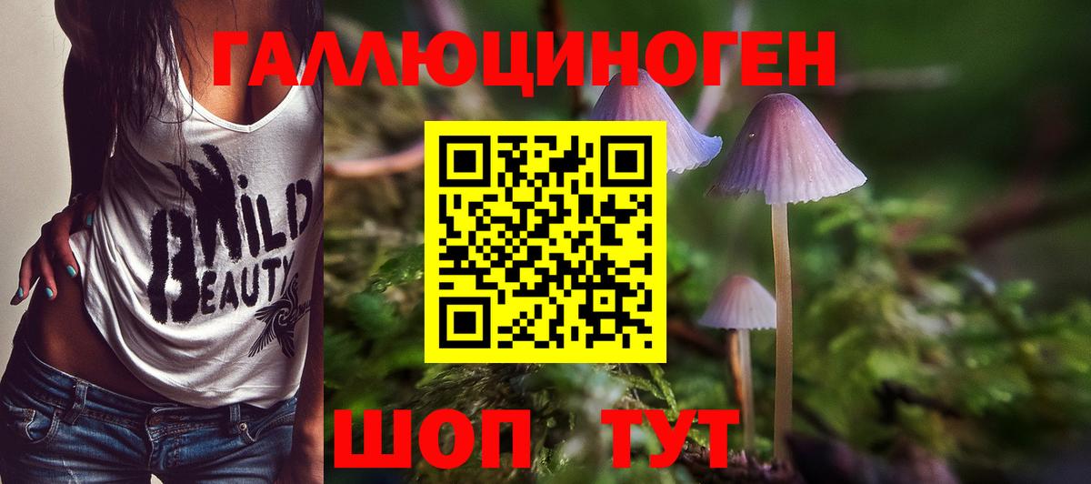 Галлюциногенные грибы Magic Shrooms Таганрог