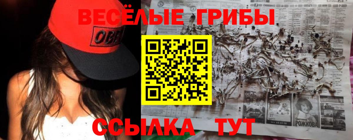 купить закладку  Галлюциногенные грибы Psilocybine cubensis  Вход с VPN  Галлюциногенные грибы Psilocybe  Таганрог 